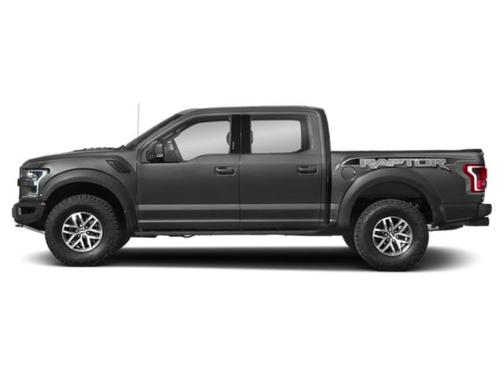 Magnetic 2020 Ford F-150 Raptor