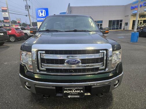 Green 2014 Ford F-150 XLT