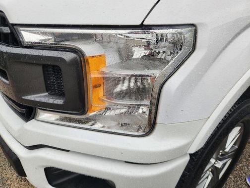 Oxford White 2019 Ford F-150 XLT