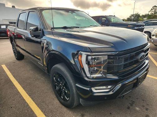 Black Metallic 2022 Ford F-150 Platinum