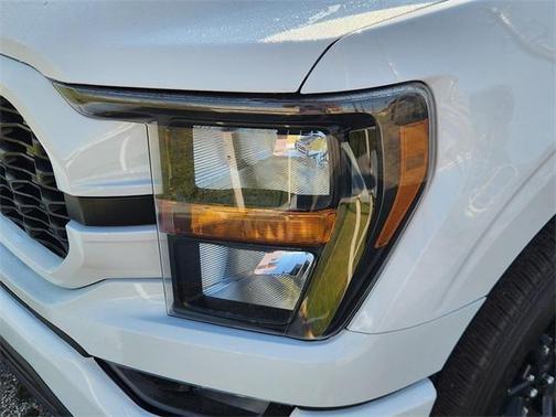 2015 Ford F-250 Platinum