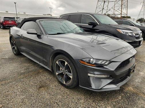 2019 Ford Mustang EcoBoost