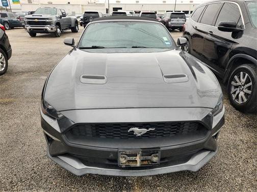 2019 Ford Mustang EcoBoost