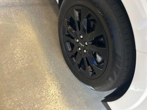 Snow White Pearl 2024 Kia Carnival SX Prestige