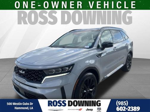 Wolf Gray 2023 Kia Sorento SX