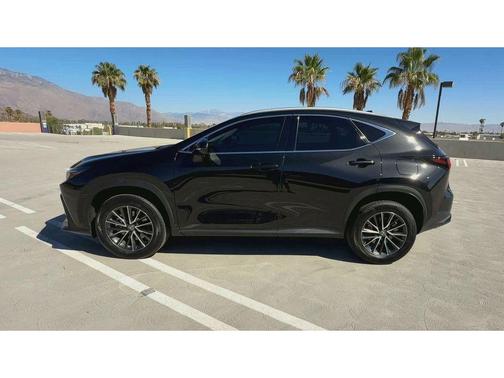 2024 Lexus NX 250 Base