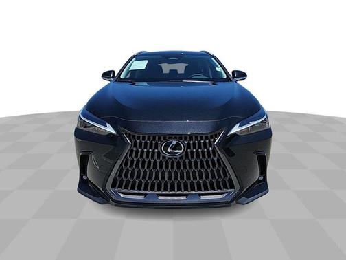 2024 Lexus NX 250 Base