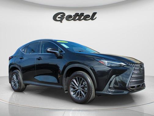 2025 Lexus NX 350 Luxury