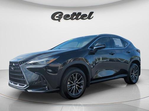 2025 Lexus NX 350 Luxury