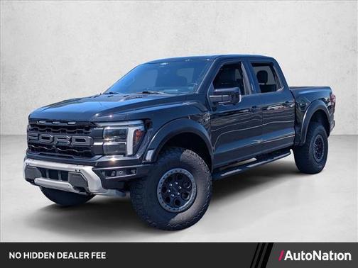 Agate Black Metallic 2024 Ford F-150 Raptor
