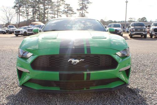 2019 Ford Mustang EcoBoost