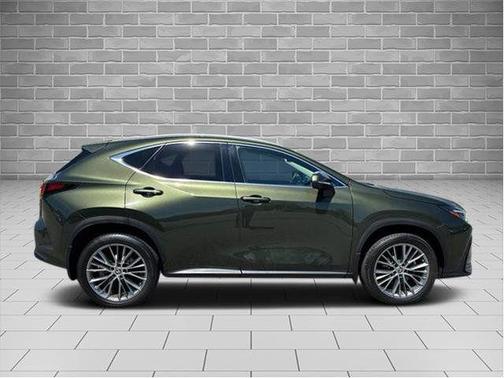 Nori Green Pearl 2024 Lexus NX 350 LUXURY