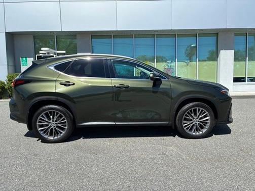 Nori Green Pearl 2024 Lexus NX 350 LUXURY