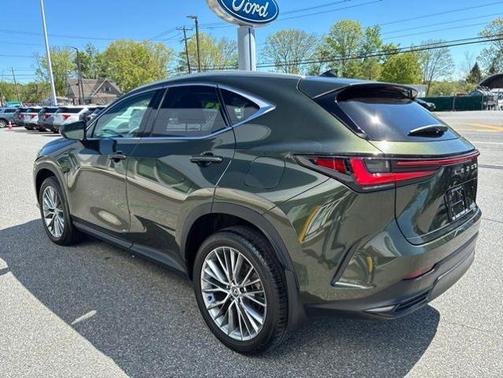 Nori Green Pearl 2024 Lexus NX 350 LUXURY