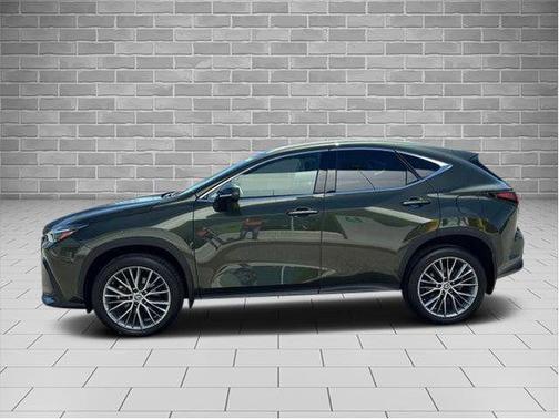 Nori Green Pearl 2024 Lexus NX 350 LUXURY