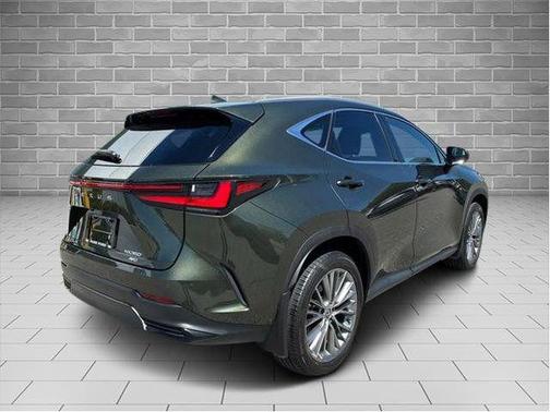 Nori Green Pearl 2024 Lexus NX 350 LUXURY