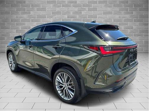 Nori Green Pearl 2024 Lexus NX 350 LUXURY