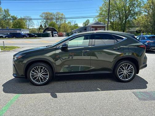 Nori Green Pearl 2024 Lexus NX 350 Luxury