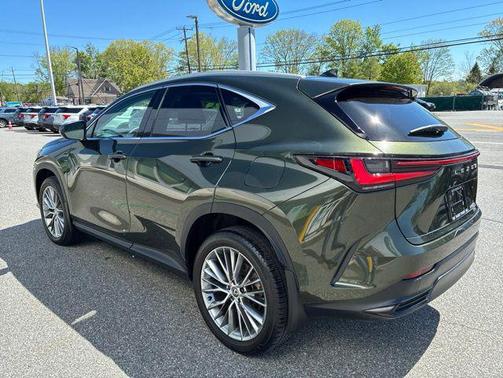 Nori Green Pearl 2024 Lexus NX 350 Luxury