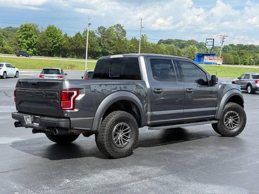 Magnetic 2018 Ford F-150 Raptor