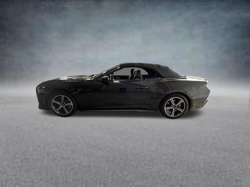 Shadow Black 2025 Ford Mustang EcoBoost Premium