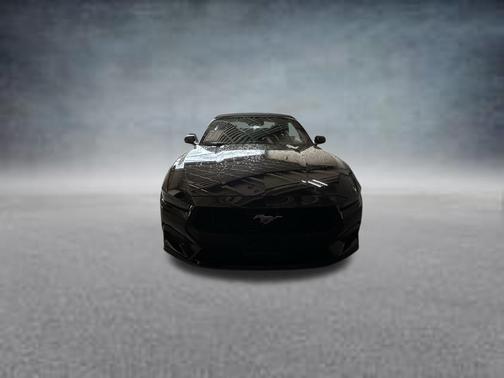 Shadow Black 2025 Ford Mustang EcoBoost Premium