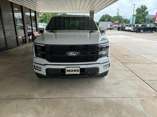 Avalanche 2024 Ford F-150 Platinum