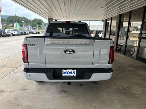 Avalanche 2024 Ford F-150 Platinum
