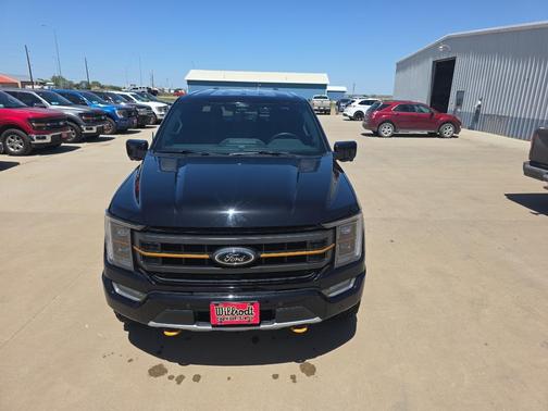 Agate Black Metallic 2022 Ford F-150 Tremor