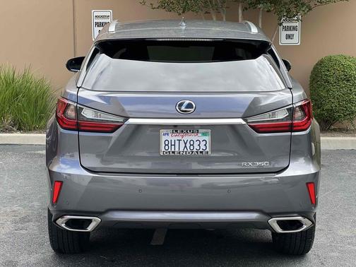 Nebula Gray Pearl 2019 Lexus RX 350 Base