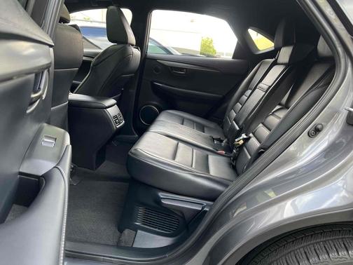 Nebula Gray Pearl 2020 Lexus NX 300 F Sport