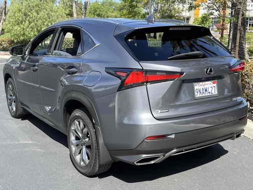 Nebula Gray Pearl 2020 Lexus NX 300 F Sport