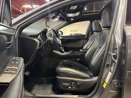 Nebula Gray Pearl 2020 Lexus NX 300 F Sport