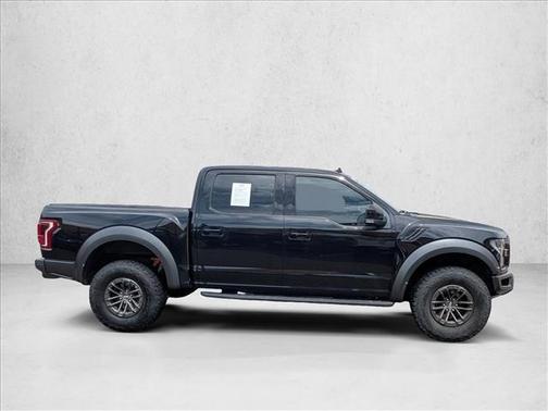 Agate Black Metallic 2019 Ford F-150 Raptor