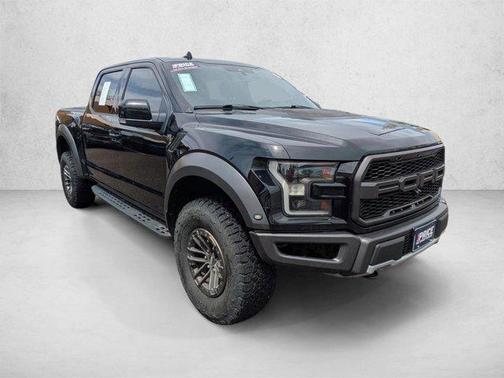 Agate Black Metallic 2019 Ford F-150 Raptor