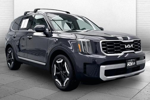 Panthera Metal 2025 Kia Telluride S