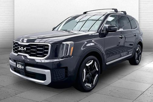 Panthera Metal 2025 Kia Telluride S