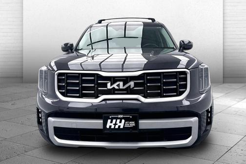 Panthera Metal 2025 Kia Telluride S
