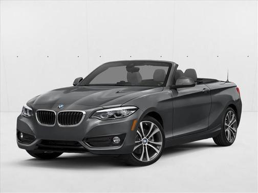 2019 BMW 230 230i