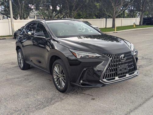 2023 Lexus NX 350h Premium