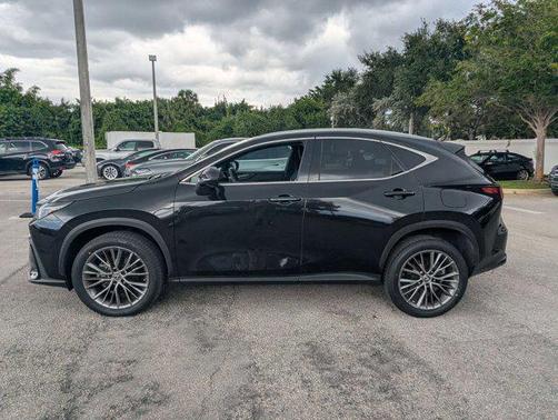 2023 Lexus NX 350h Premium