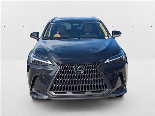 2024 Lexus NX 250 Base