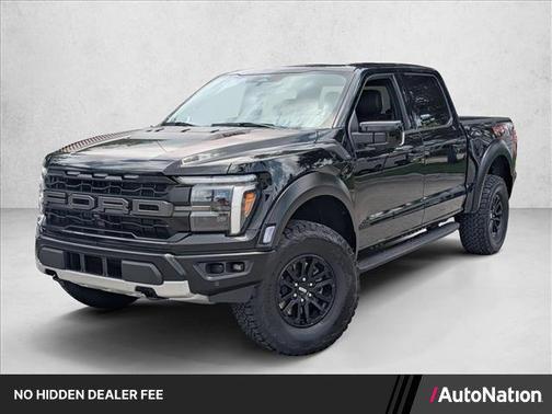 Agate Black Metallic 2025 Ford F-150 Raptor