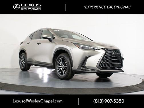 Atomic Silver 2025 Lexus NX 250 Premium