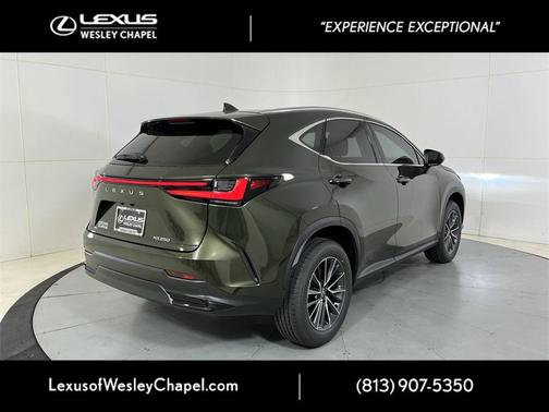 2025 Lexus NX 250 Premium
