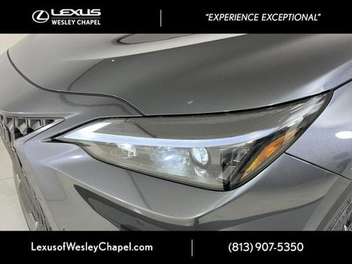 2025 Lexus NX 250 Premium