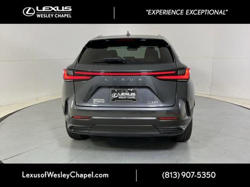 2025 Lexus NX 250 Premium