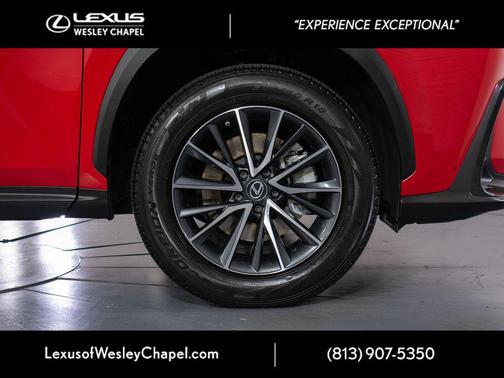Redline 2023 Lexus NX 250 Base