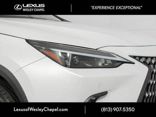 2023 Lexus NX 250 Premium