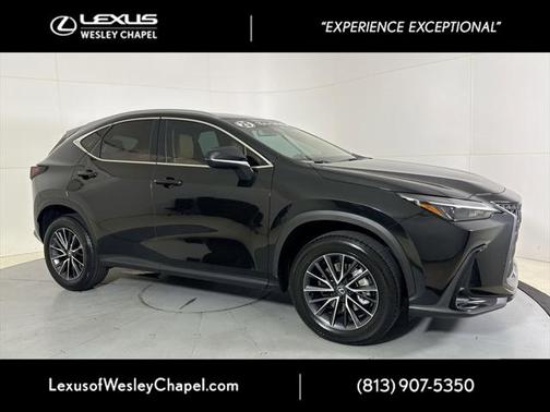 2025 Lexus NX 250 Premium